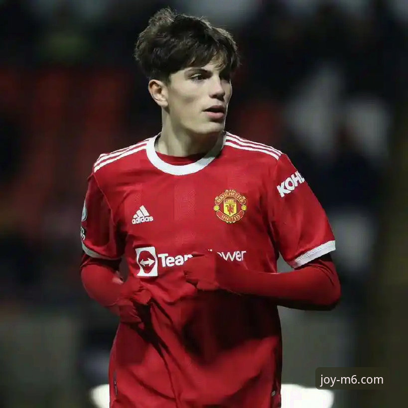 阿根廷新星重伤无缘世界杯事件详解